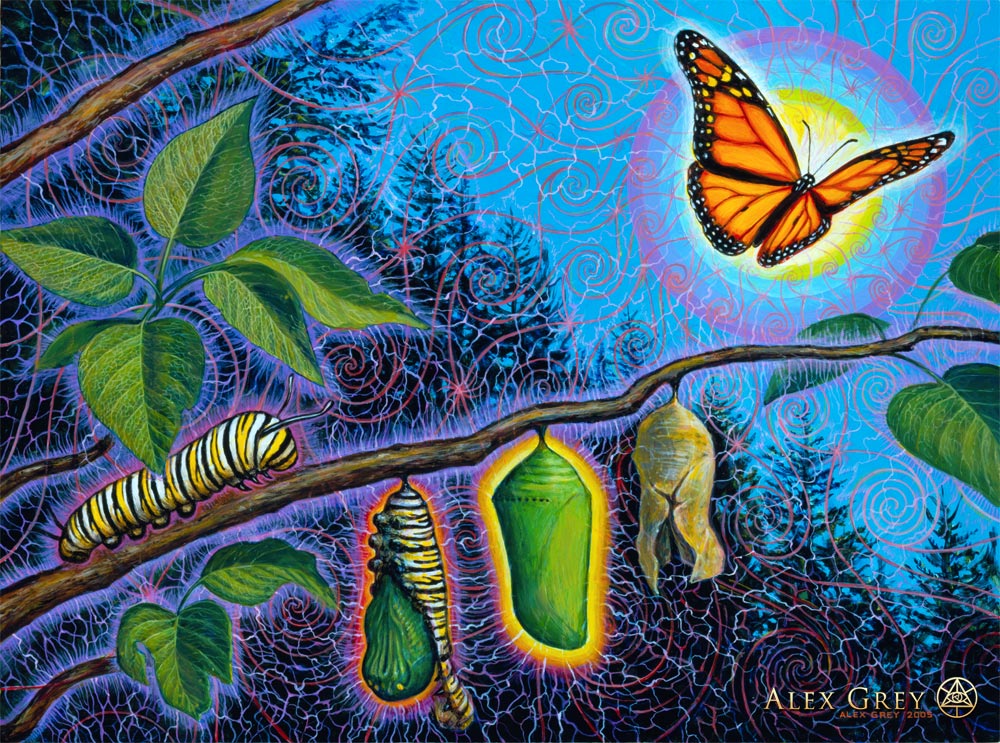 555 Angel Number: Embracing Positive Life Changes